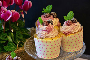Cupcake with Pink Frosting